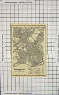 Original Old Antique Print Map Germany Street Plan Brandenburg River