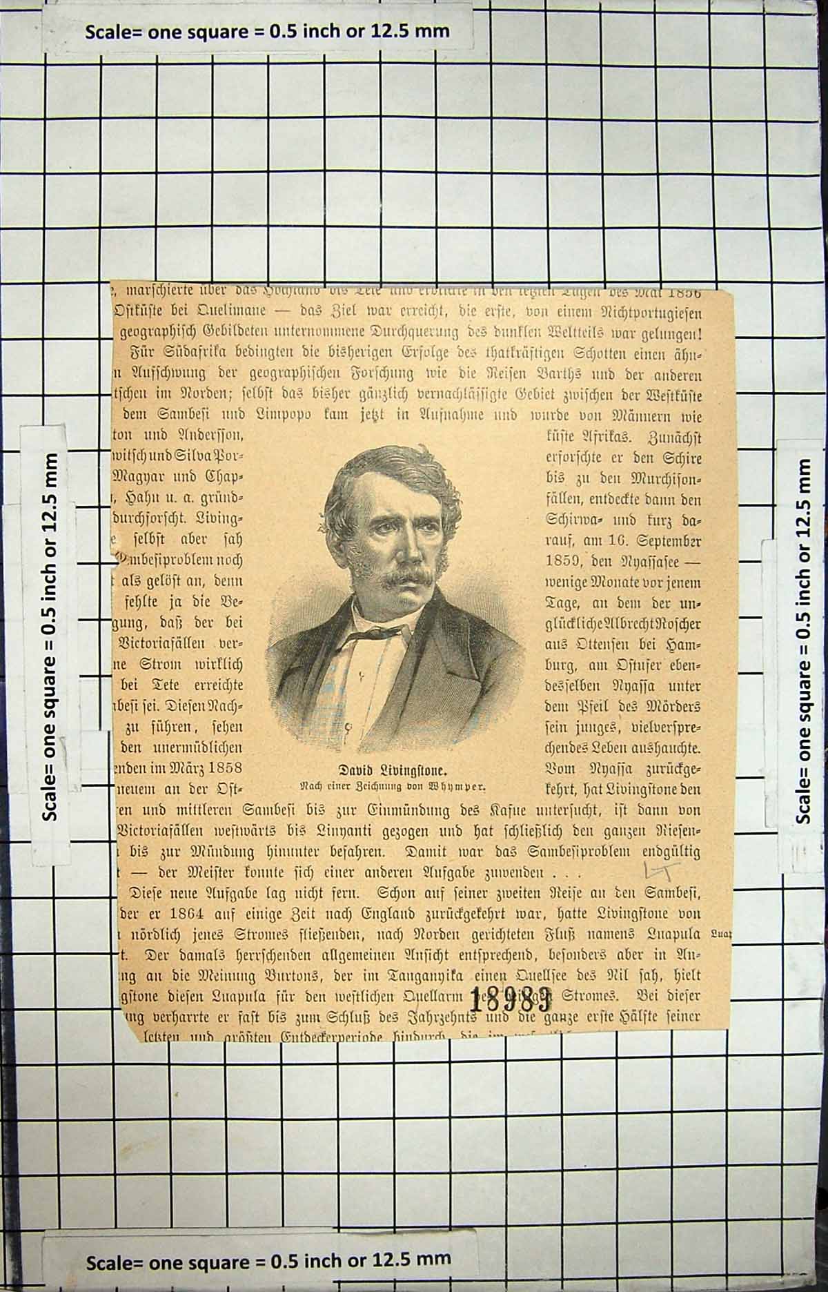 Original Old Antique Print Portrait David Livingstone Explorer