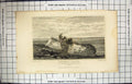 Old Engraving 1829 View Studfall Castle Roman Station Kent England La 19th