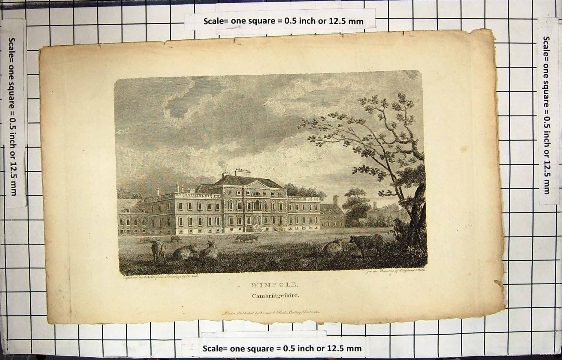 Antique Old Print Engraving Wimpole Cambridgeshire England Noble Architecture