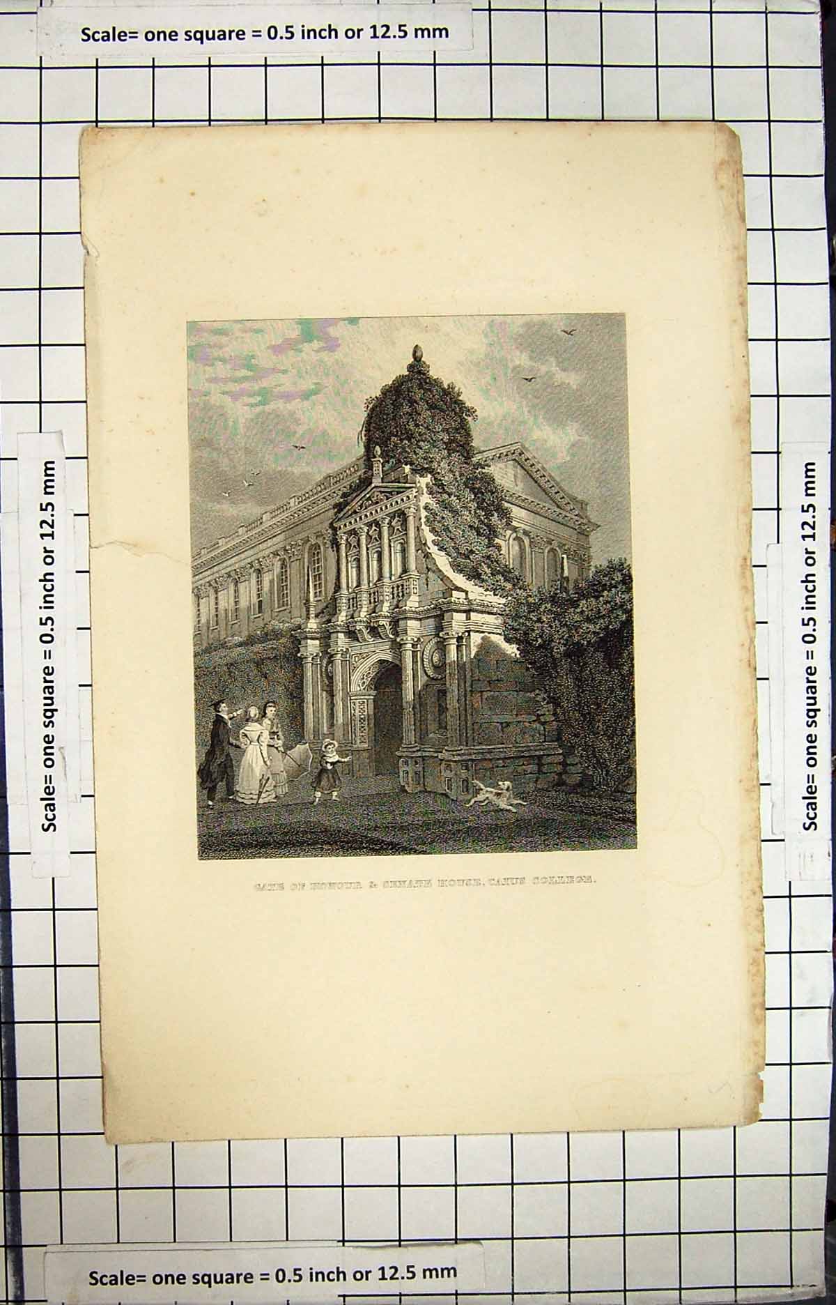 Original Old Antique Print Engraving Gate Honour Senate House Caius College