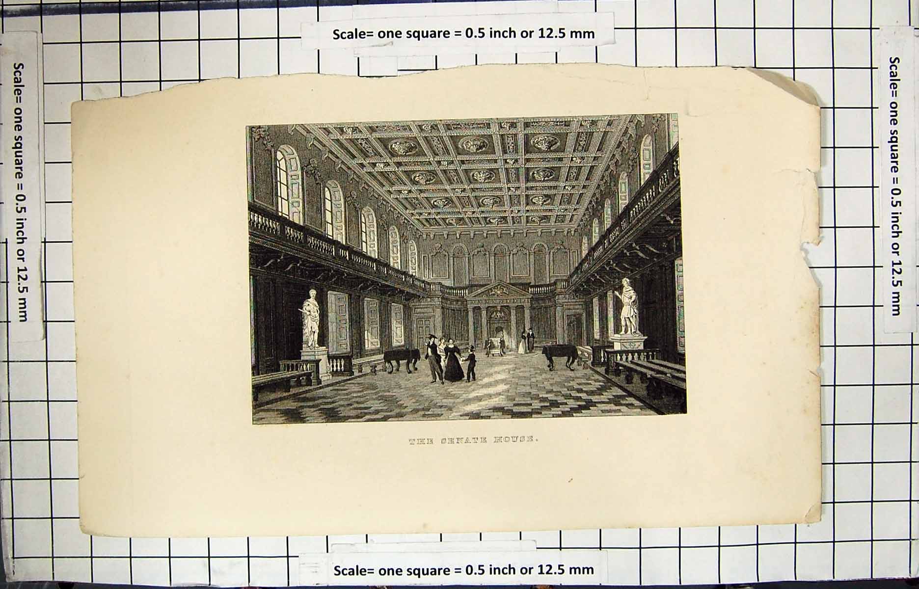Old Antique Print Engraving Interior Senate House Sculpture Architecture