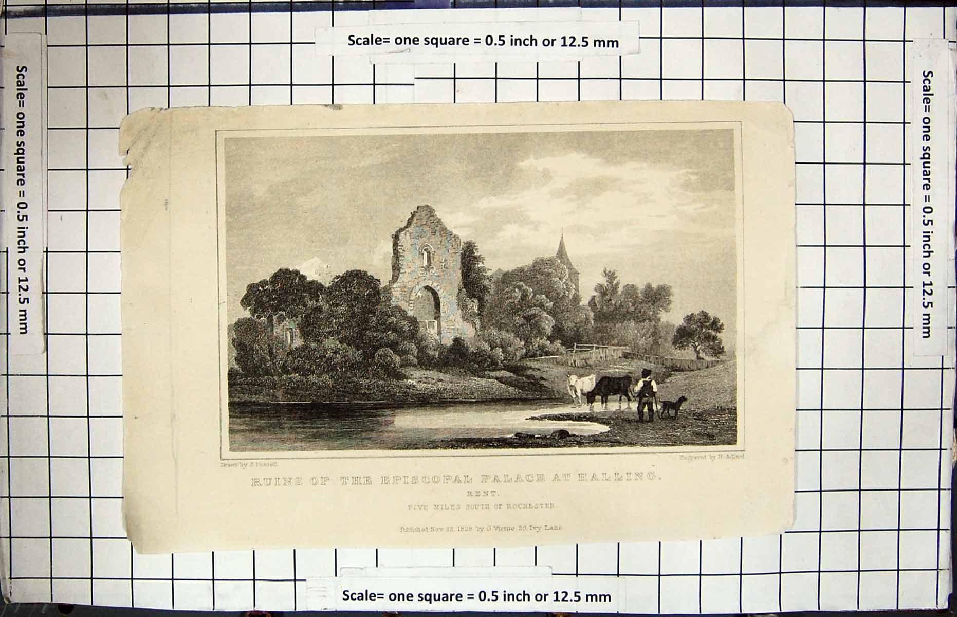 Old Engraving 1828 Ruins Episcopal Palace Halling Kent Adlard Fussell 19th