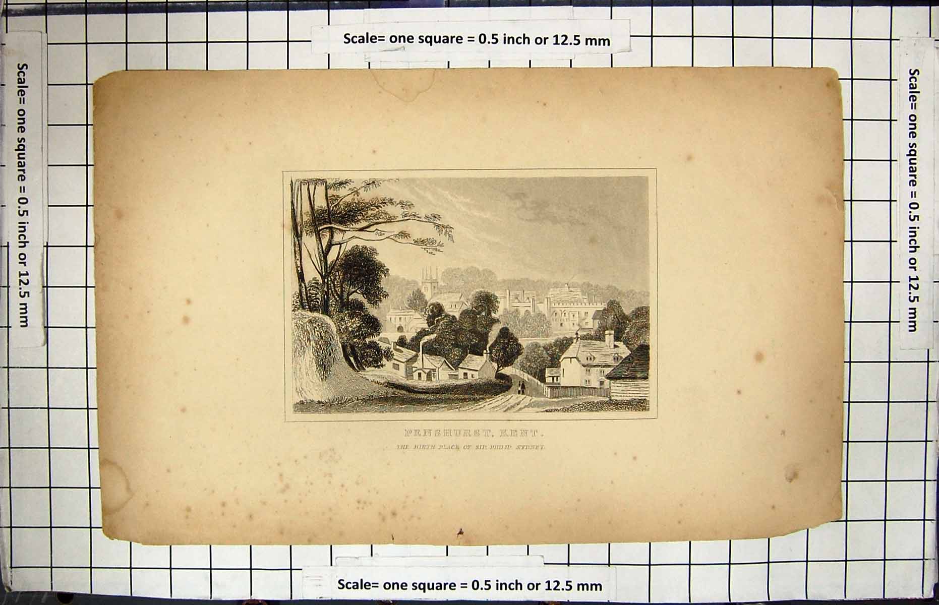 Original Old Antique Print View Penshurst Kent England Philip Sydney Engraving