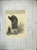 Original Old Antique Print Engraving 1817 Salmanstone Grange Thanet England