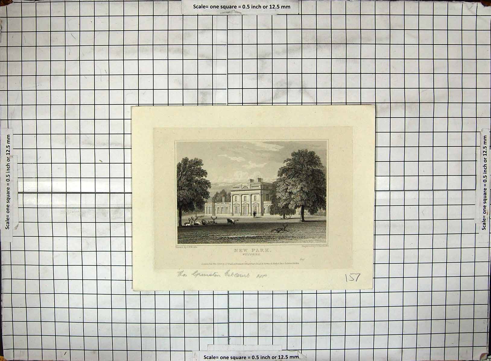 Original Old Antique Print Engraving Exterior New Park Wiltshire Neale Mansell