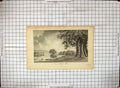 Original Old Antique Print View Littlecot Park Animals Horse Stags Trees 20th