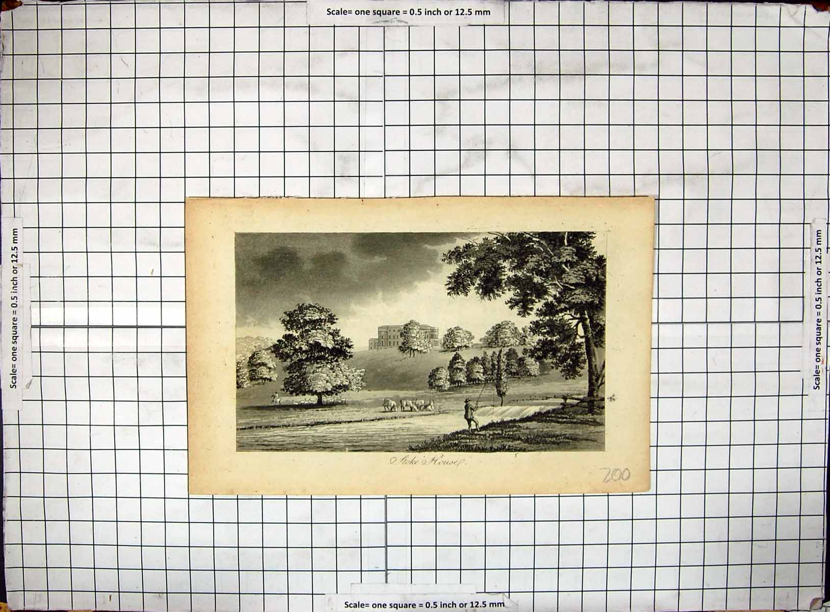 Original Old Antique Print Stoke Mansion House Man River Fishing Cattle Trees
