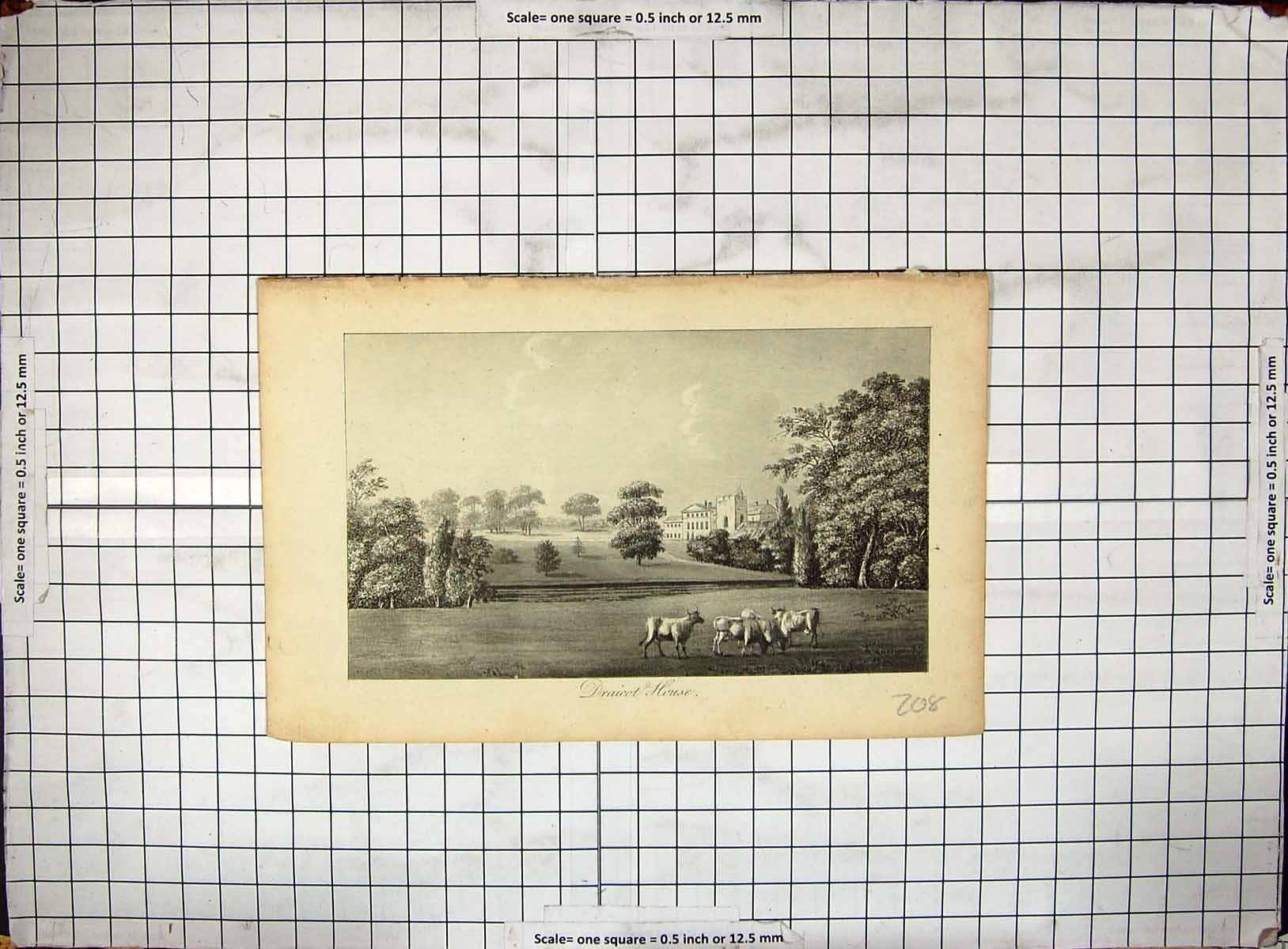 Original Old Antique Print View Draicot Mansion House Cattle Trees