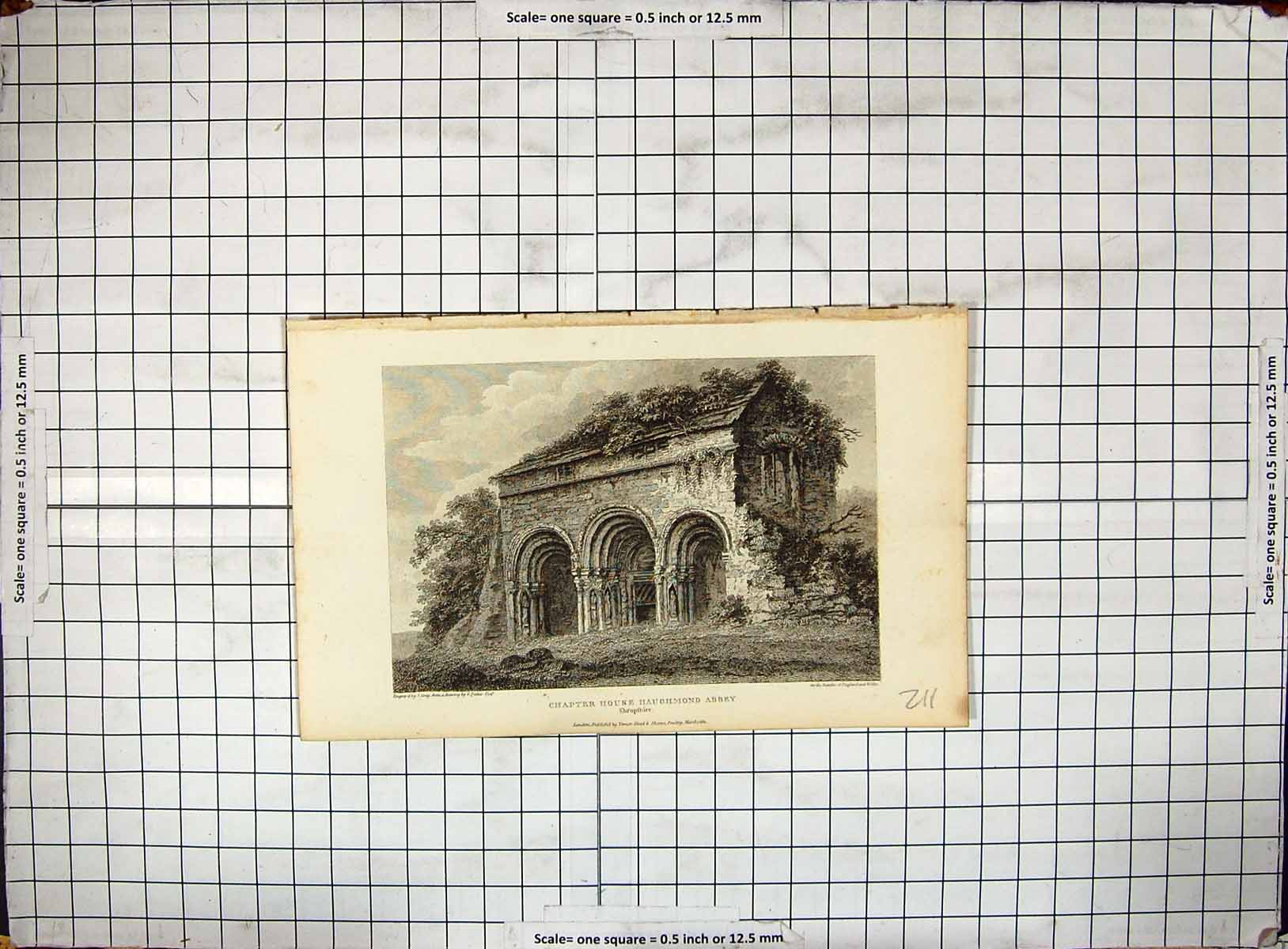 Antique Old Print Engraving Chapter House Haughmond Abbey Shropshire Greig