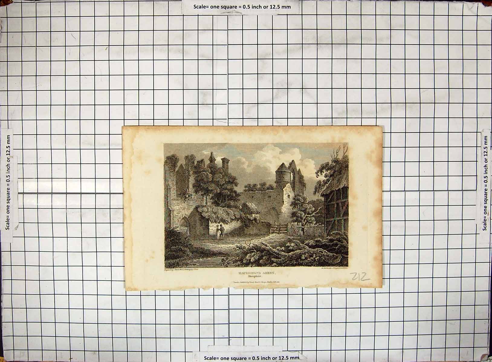 Original Old Antique Print Engraving 1812 Haughmond Abbey Shropshire Storer
