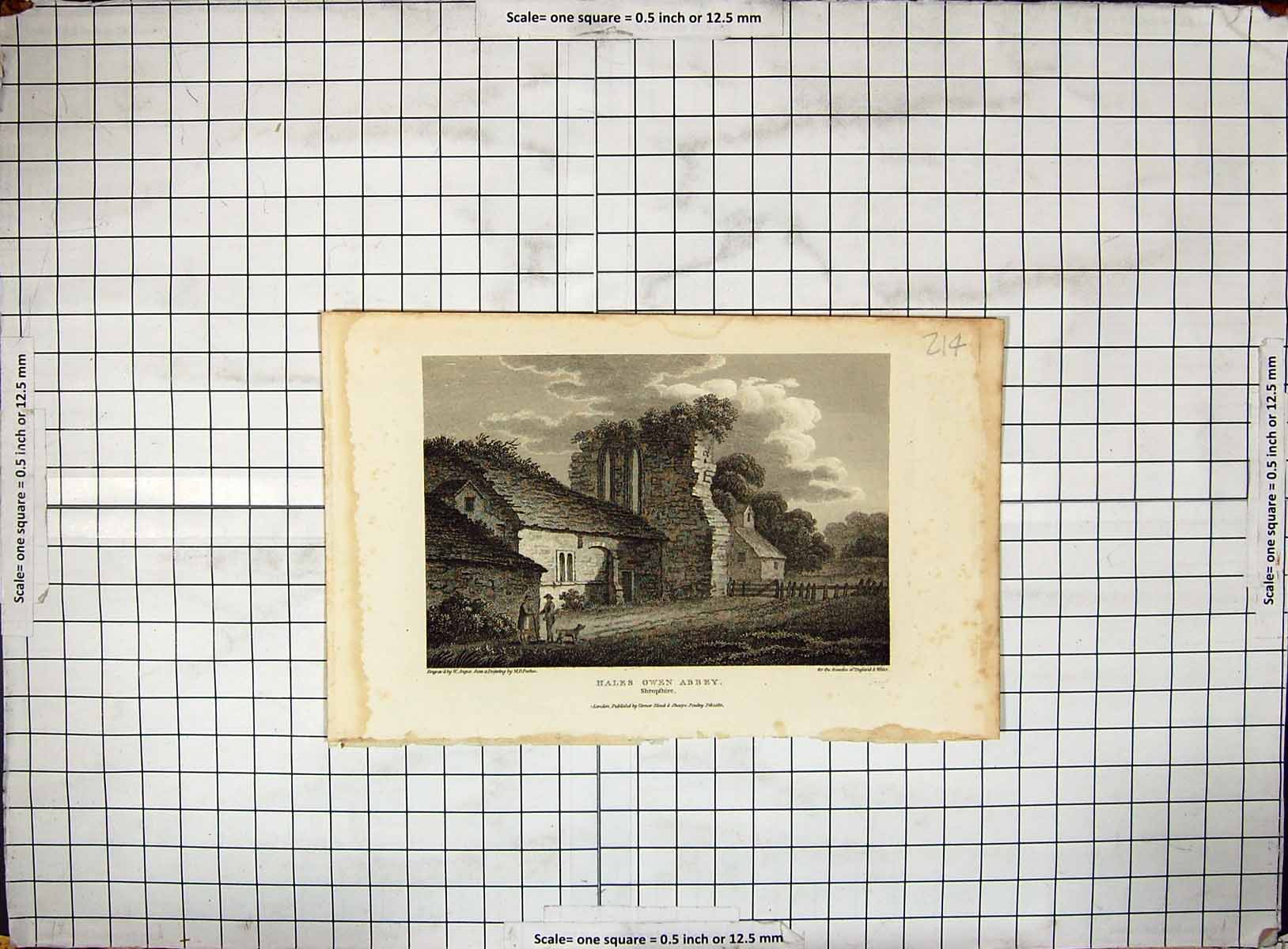 Antique Print View Hales Owen Abbey Shropshire England Angus Engraving 1810