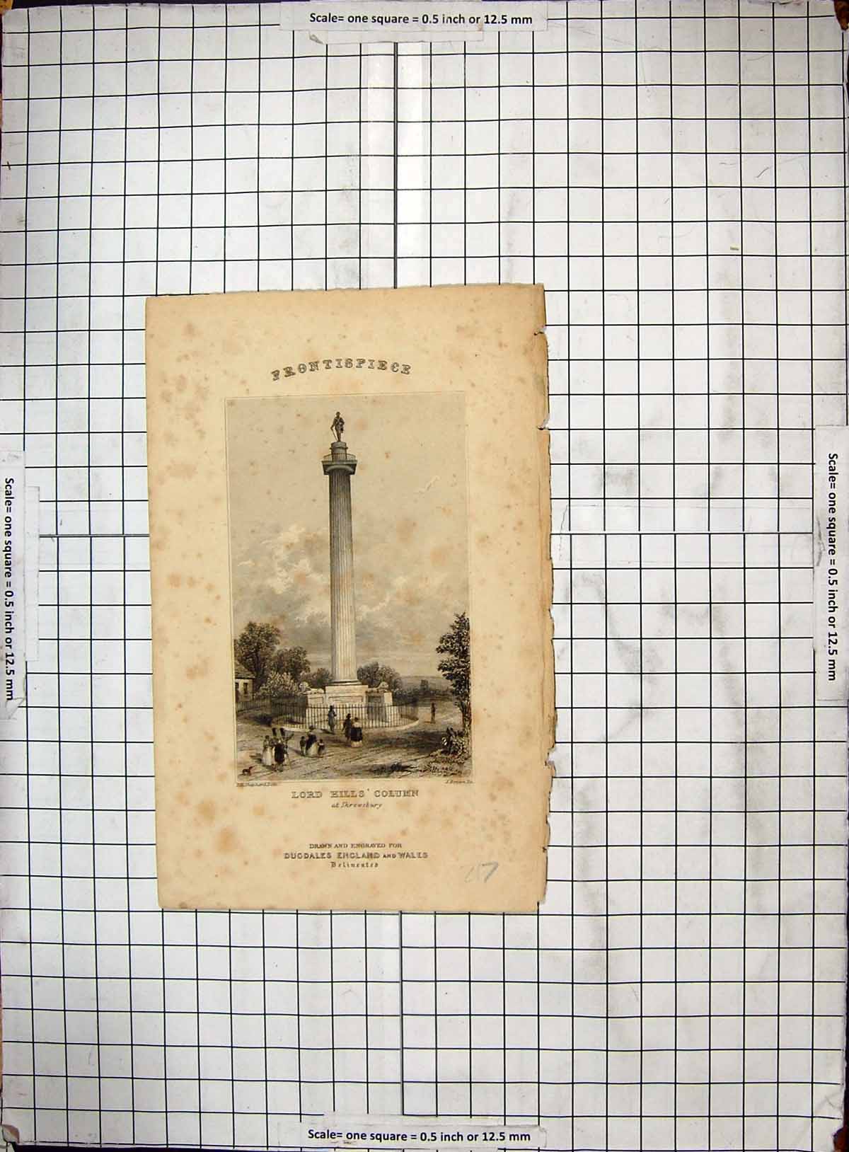 Old Antique Print Engraving Lord Hills Column Shrewsbury Shepherd Brown