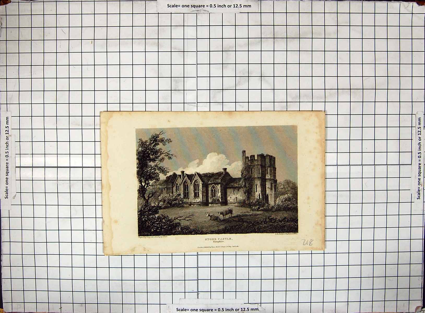 Original Old Antique Print Engraving 1810 Stoke Castle Shropshire England Greig