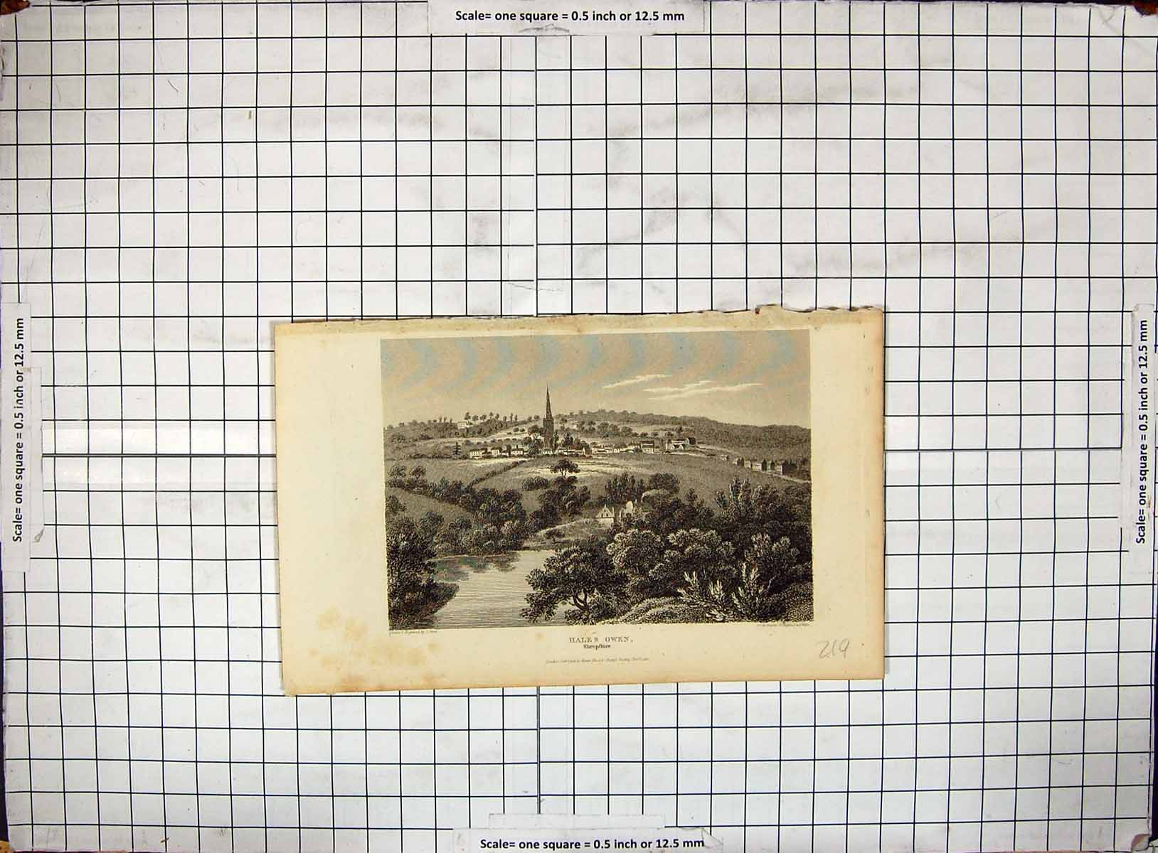 Original Old Antique Print Engraving View Hales Owen Shropshire England