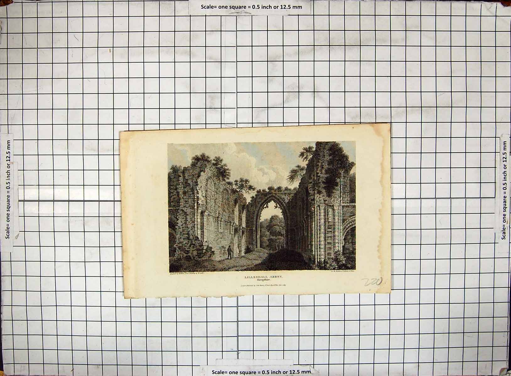 Antique Old Print Engraving 1813 Lilleshall Abbey Shropshire England Carter