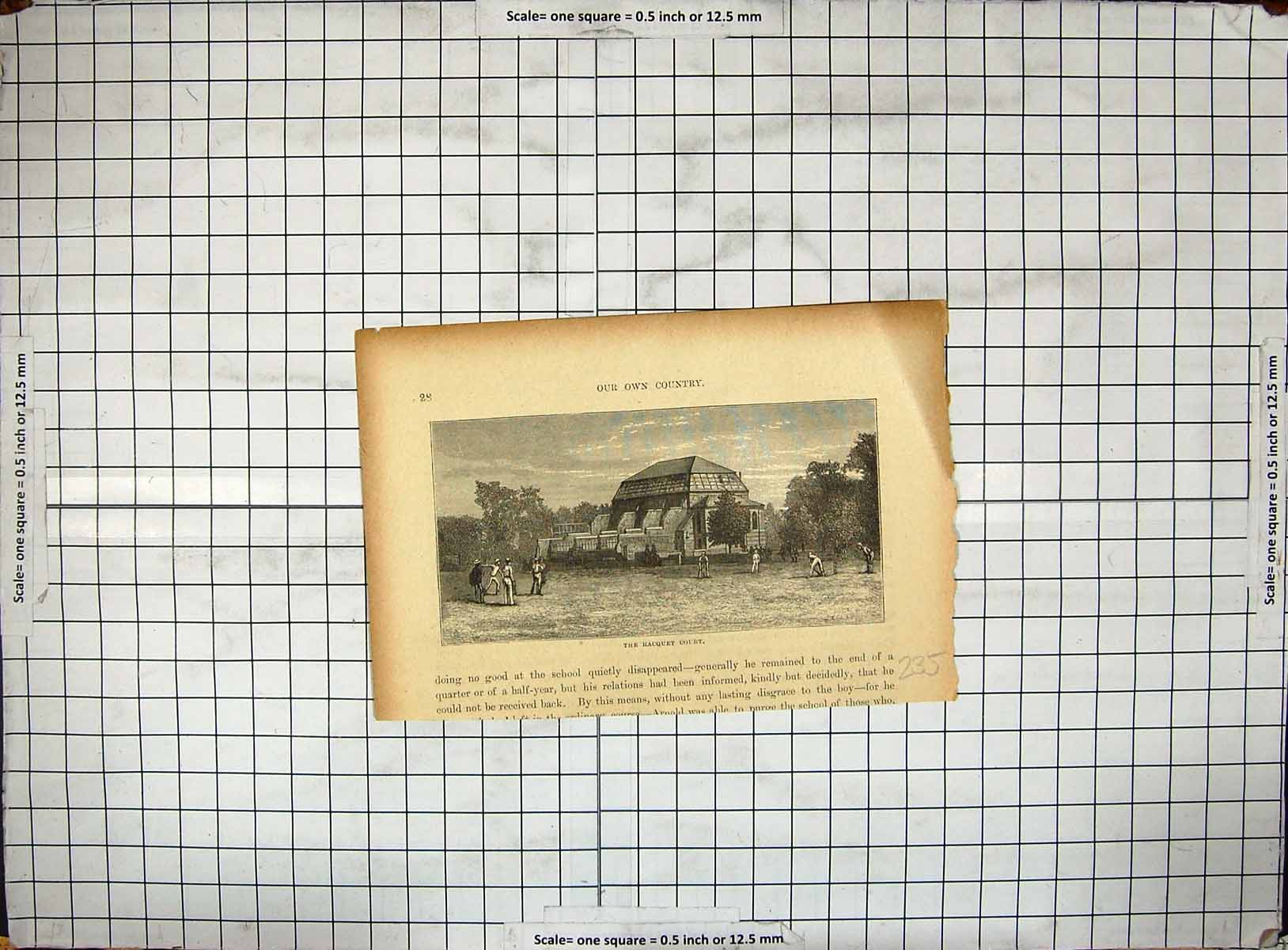 Original Old Antique Print View Rachet Court Cricket Sport Men