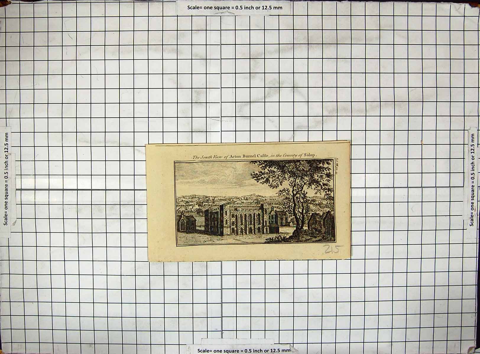 Original Old Antique Print South View Acton Burnel Castle Salop Architecture