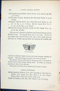Original Old Antique Print Rosy Footman Butterflies 1896 Lloyd Kirby Victorian