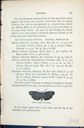 Antique Old Print Butterflies 1896 Lloyd Kirby Red-Necked Footman Gnophria 19th