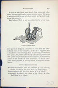Antique Print Larva Lobster Moth Brachionycha Butterflies 1896 Lloyd Kirby 19th