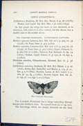 Old Coxcomb Prominent Scarce Odontosia Butterflies 1896 Lloyd KirbyVictorian