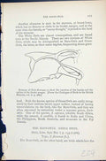 Old Barn-Owls Sternum Strix Flammea 1896 Lloyd Sharpe Birds Great Bri Victorian