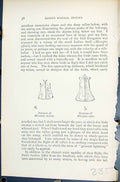 Old 1896 Lloyd Sharpe Birds Great Britain Sternum Hirundo Rustica Mic Victorian