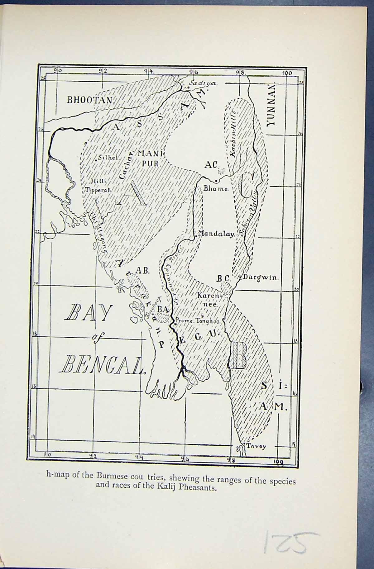 Antique Print 1896 Lloyd Sharpe Game Birds Bay Bengal Pegu Mandalay Dargwin