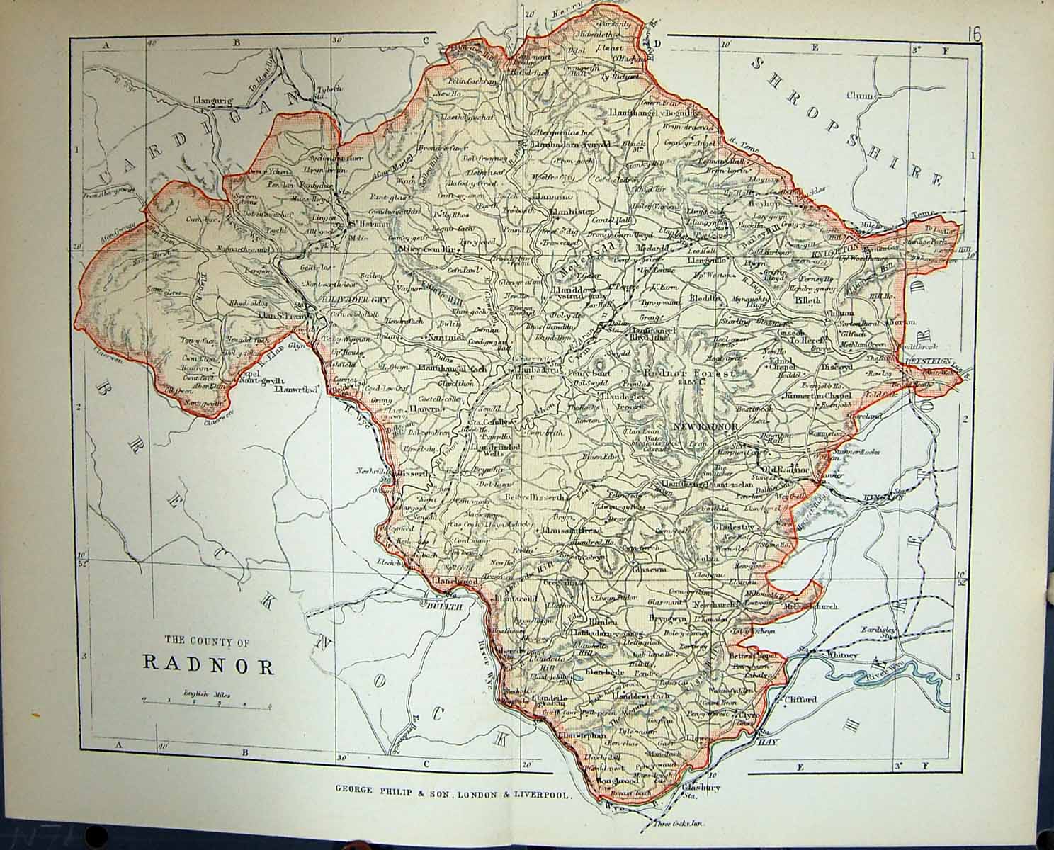 Original Old Antique Print County Radnor Builth Wales Philips Map 1882 19th