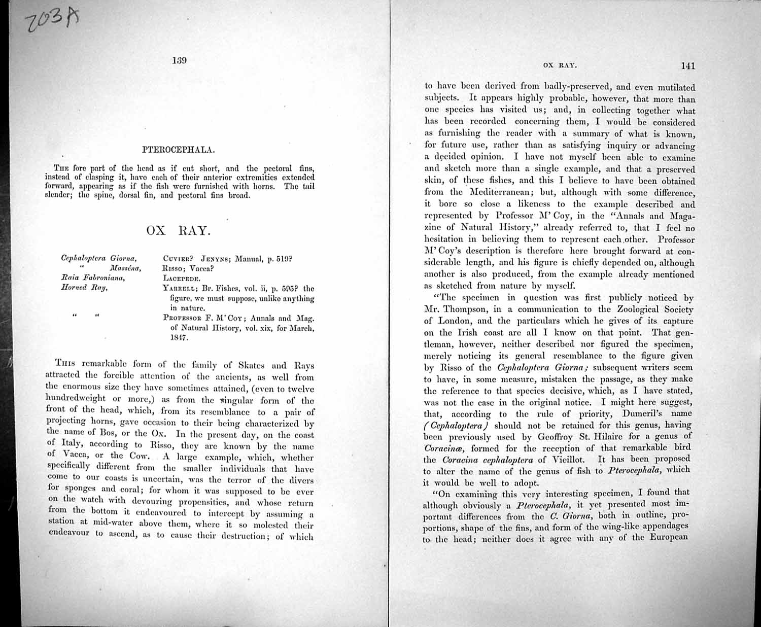 Old Antique Print Couch Text Pages British Fish 1862 Pterocephala Ox Ray 19th