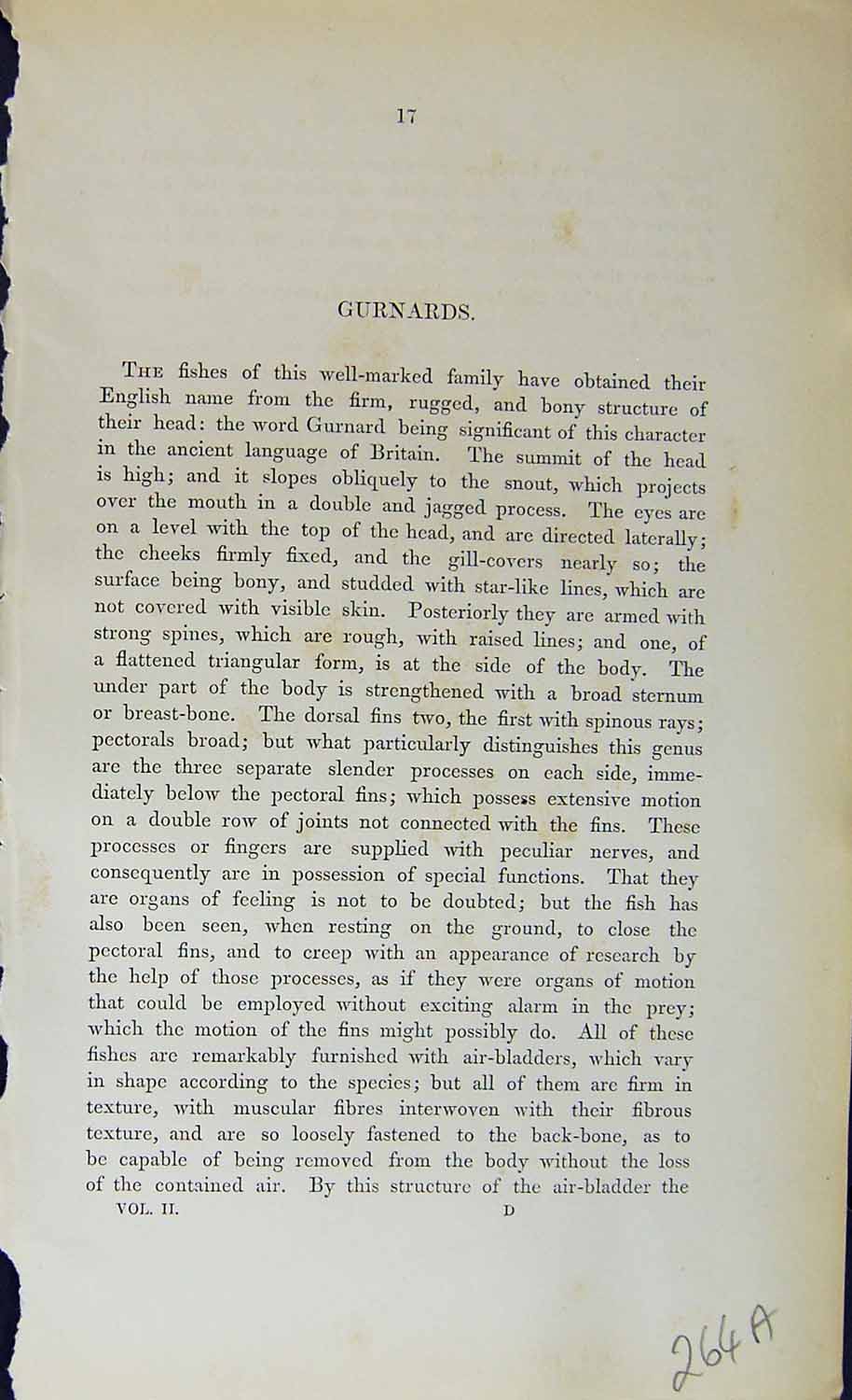 Old Couch British Fish 1863 Gurnards Red Grey Air-Bladders TriglidaeVictorian
