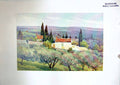 Original Old Antique Print View Country South Nimes France 1904 Murray Colour