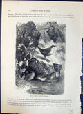 Antique Old Print Water Ouzels Kingfisher Brehm Jones C1860 Cassell'S Birds