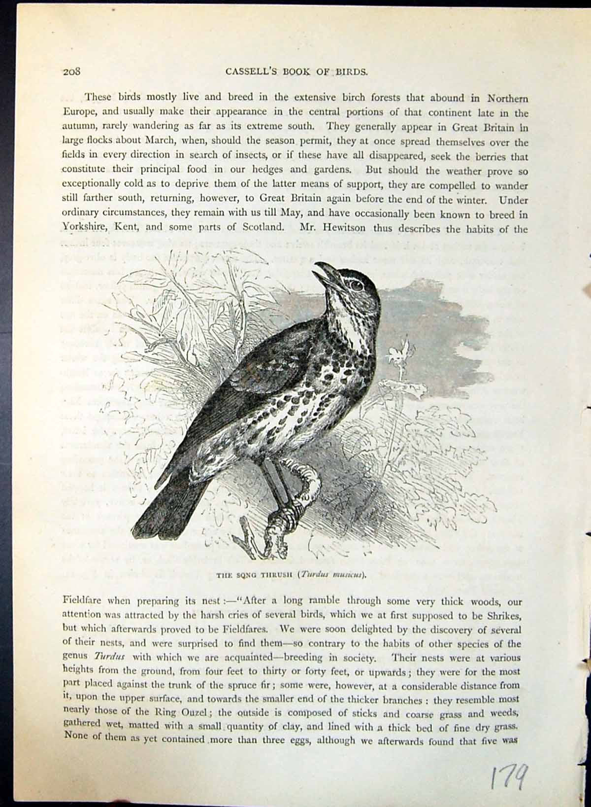 Antique Print Song Thrush Turdus Musicus Brehm Jones C1860 Cassell'S Birds 19th