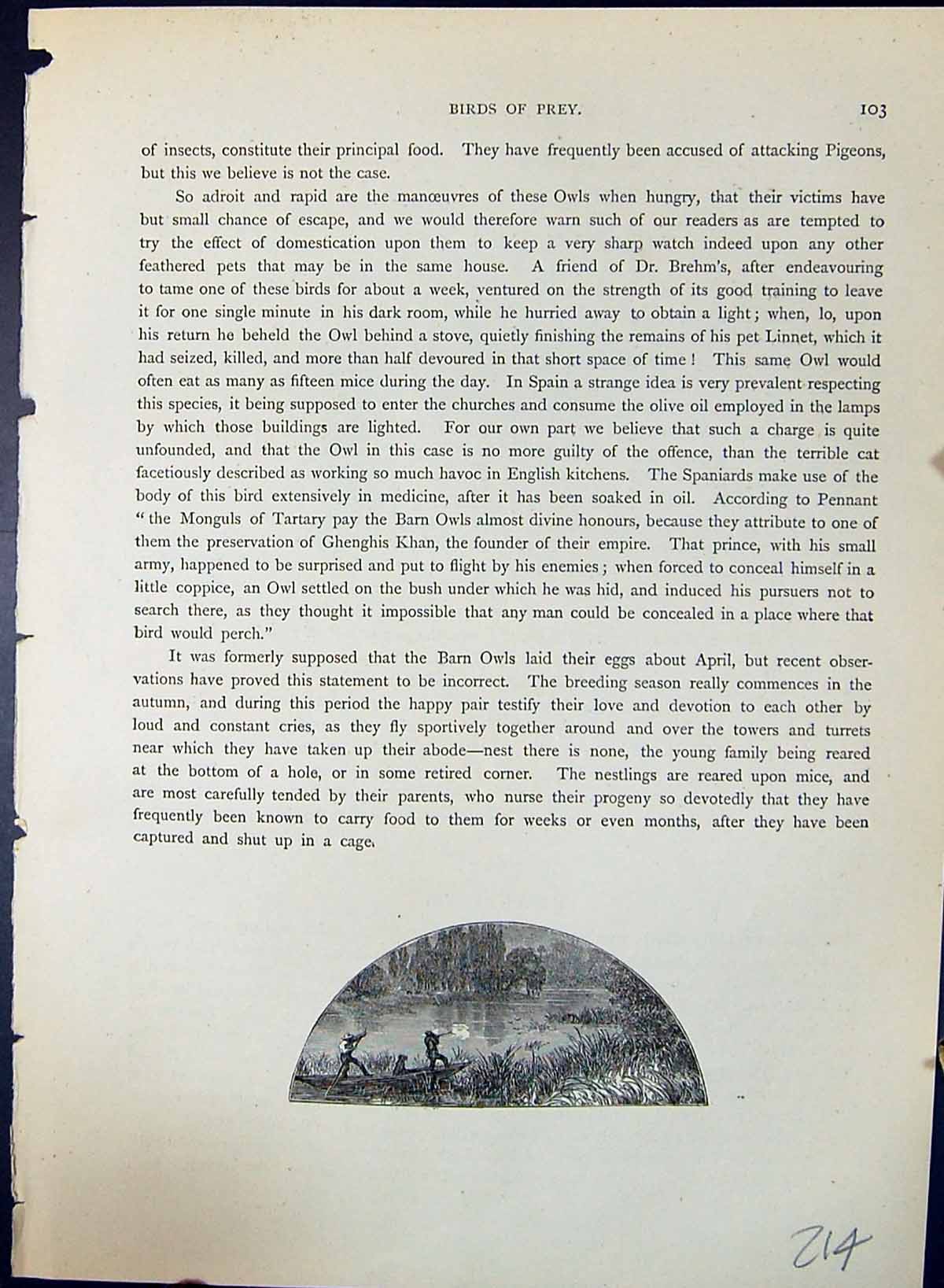 Antique Print Brehm Jones C1860 Cassell'S Birds River Boat Hunting Shooting