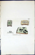 Old Print Opegrapha Atra British Plants Botany 1843 Sowerby Smith Colour 19th