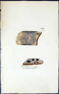 Antique Print Verrucaria Analepta British Plants Botany 1843 Sowerby Smith 19th