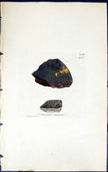 Antique Old Print Verrucaria Maura British Plants Botany 1843 Sowerby Smith