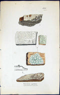 Antique Old Print Variolaria Agelaea British Plants Botany 1843 Sowerby Smith