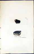 Old Print Lecidea Atrata British Plants Botany 1843 Sowerby Smith Colour 19th