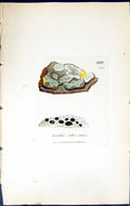 Antique Old Print Lecidea Albo-Atra British Plants Botany 1843 Sowerby Smith