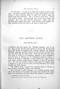 Original Old Antique Print Saffron Finch Sycalis Flaveola Male Female 1899 0