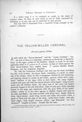 Antique Old Print Yellow-Billed Cardinal Paroaria Capitata Waterside 1899 0 19th