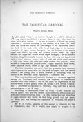Antique Old Print Dominican Cardinal Paroaria Larvata Flowering Bush 1899 0 19th