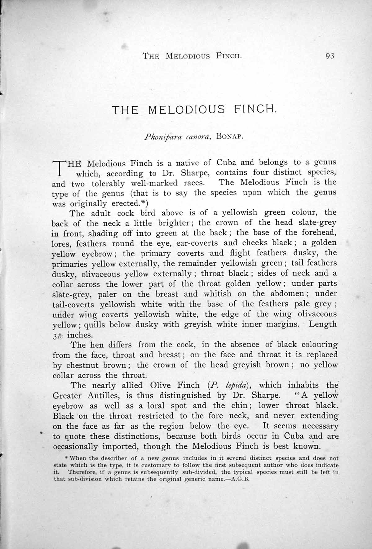 Antique Old Print Melodious Or Cuba Finch Male Female Phonipara Canora 1899 0