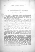 Old Antique Print Orange-Cheeked Waxbill Male Female Zebra Waxbill 1899 19th