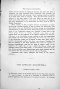 Antique Print Indian Silver-Bill Male Aidemosyne African Silver-Bill 1899 19th