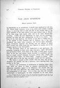 Antique Old Print Java Sparrow Munia Oryzivora Wild Form White Variety 1899