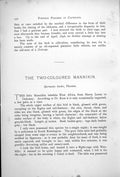 Antique Old Print Bronze Mannikin Male Two-Coloured Mannikin Spermestes 1899